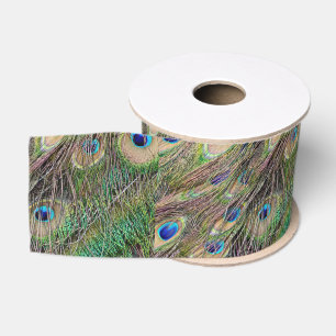Schöne Pfau-Federn Ripsband
