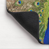 Schöne Pfau und Federn drucken Mousepad (Ecke)