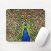 Schöne Pfau und Federn drucken Mousepad (Mit Mouse)
