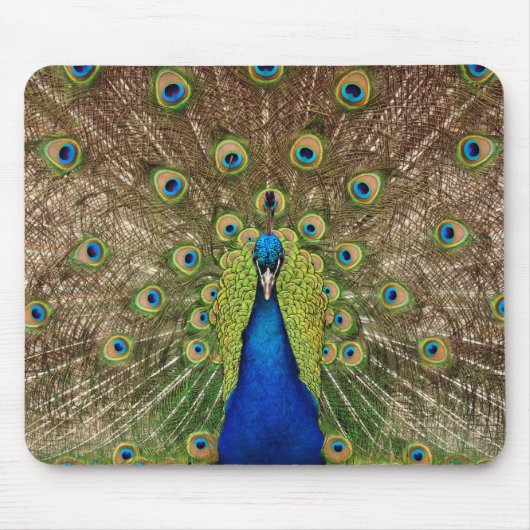 Schöne Pfau und Federn drucken Mousepad (Vorne)