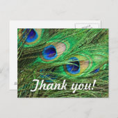 Schöne Pfaue individuell anpassbare Dankbarkeit Ka Postkarte (Vorne/Hinten)