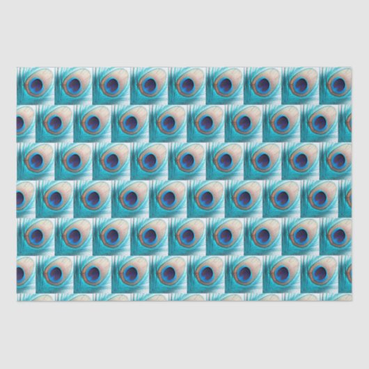 Schöne Pfauenfeder mit Namen Seidenpapier (Vorderseite)