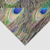 Schöne Pfauenfedern Seidenpapier (Detail)