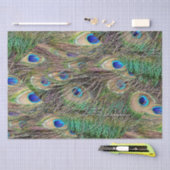 Schöne Pfauenfedern Seidenpapier (Handwerk)