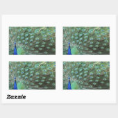 Schöne Pfauenkleber Rechteckiger Aufkleber (Blatt)