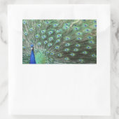 Schöne Pfauenkleber Rechteckiger Aufkleber (Tasche)