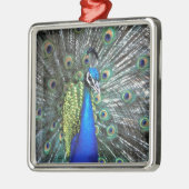 Schöne Pfauenspülung mit bunten Federn Silbernes Ornament (Links)
