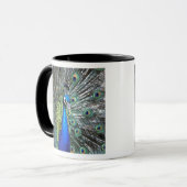 Schöne Pfauenspülung mit bunten Federn Tasse (Vorderseite Links)