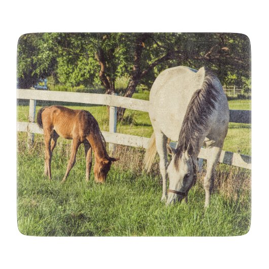 Schöne Pferd- und Fohlen-Farmhaus Schneidebrett (Vorderseite)