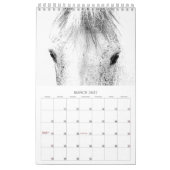 Schöne Pferde 12 Monate Kleiner Pferdekalender Kalender (Mär 2027)