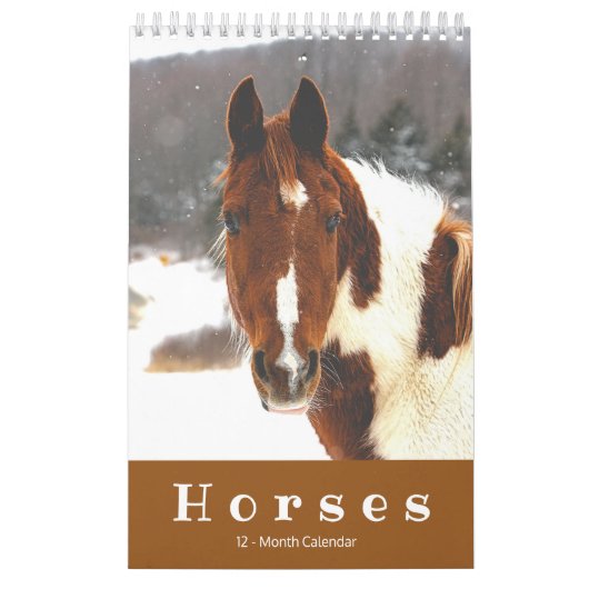 Schöne Pferde 12 Monate Kleiner Pferdekalender Kalender (Titelbild)