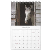 Schöne Pferde 12 Monate Kleiner Pferdekalender Kalender (Jan 2027)