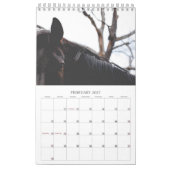 Schöne Pferde 12 Monate Kleiner Pferdekalender Kalender (Feb 2027)