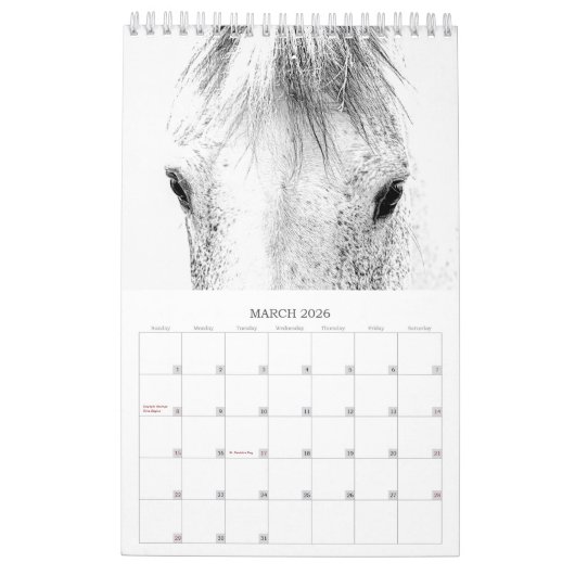Schöne Pferde 12 Monate Kleiner Pferdekalender Kalender (Mär 2026)