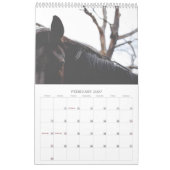 Schöne Pferde 12 Monate Pferdekalender Kalender (Feb 2027)