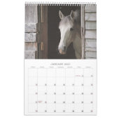 Schöne Pferde 12 Monate Pferdekalender Kalender (Jan 2027)