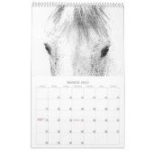 Schöne Pferde 12 Monate Pferdekalender Kalender (Mär 2027)