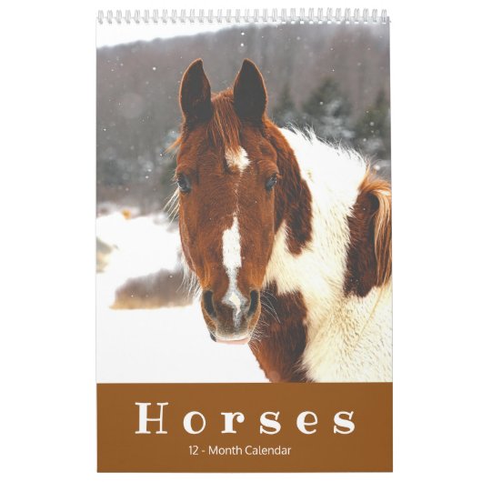 Schöne Pferde 12 Monate Pferdekalender Kalender (Titelbild)