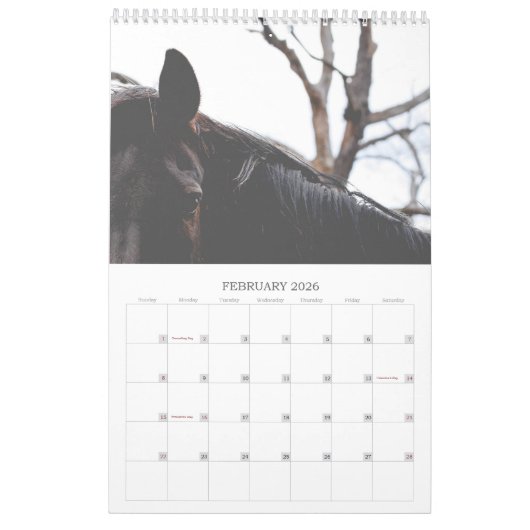 Schöne Pferde 12 Monate Pferdekalender Kalender (Feb 2026)