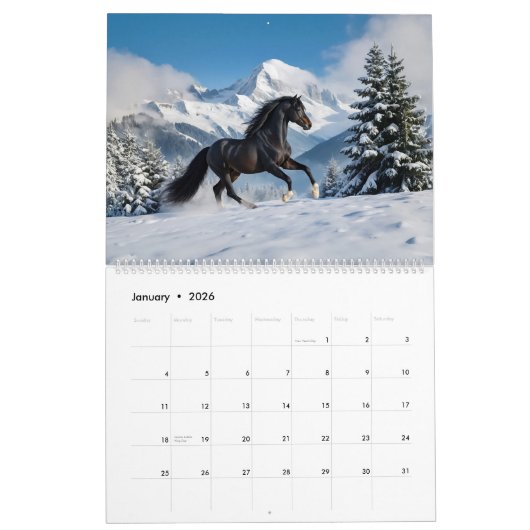 Schöne Pferde 2025 Mauerkalender Kalender (Jan 2026)
