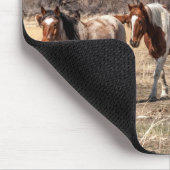 Schöne Pferde auf einer Weide Mousepad (Ecke)