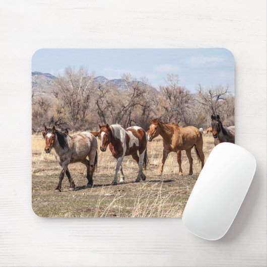 Schöne Pferde auf einer Weide Mousepad (Mit Mouse)