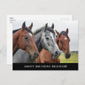 Schöne Pferde Geburtstag Postkarte (Vorne/Hinten)
