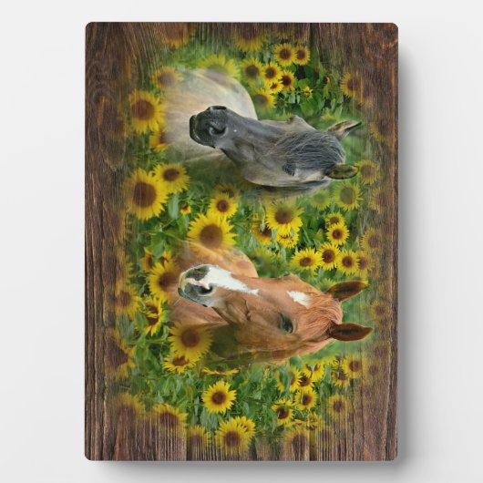 Schöne Pferde im Feld der Sonnenblumen Fotoplatte (Vorderseite)