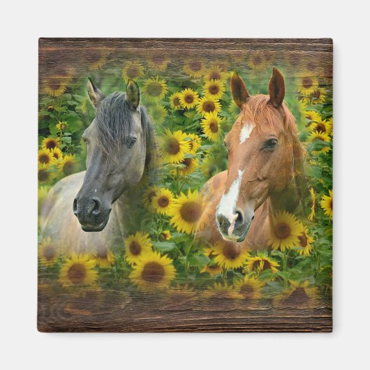 Schöne Pferde im Feld der Sonnenblumen Magnet (Vorne)