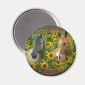Schöne Pferde im Feld der Sonnenblumen Magnet (Vorderseite/Rückseite)