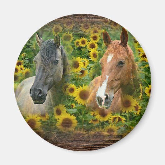 Schöne Pferde im Feld der Sonnenblumen Magnet (Vorne)