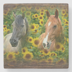 Schöne Pferde im Feld der Sonnenblumen Steinuntersetzer