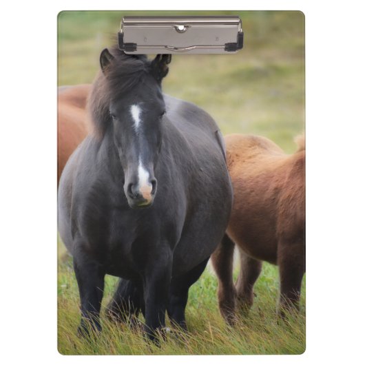 Schöne Pferde Klemmbrett (Vorderseite)