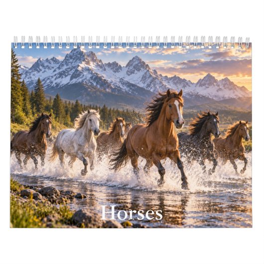 Schöne Pferde Landschaftspferde-Kalender Kalender (Titelbild)