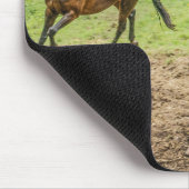 Schöne Pferde Maus Pad Mousepad (Ecke)