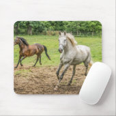 Schöne Pferde Maus Pad Mousepad (Mit Mouse)