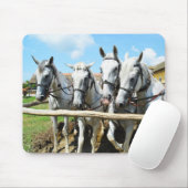 Schöne Pferde Mousepad (Mit Mouse)