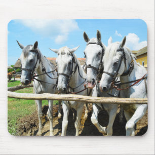 Schöne Pferde Mousepad