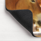 Schöne Pferde Mousepad (Ecke)