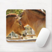 Schöne Pferde Mousepad (Mit Mouse)