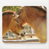 Schöne Pferde Mousepad (Vorne)