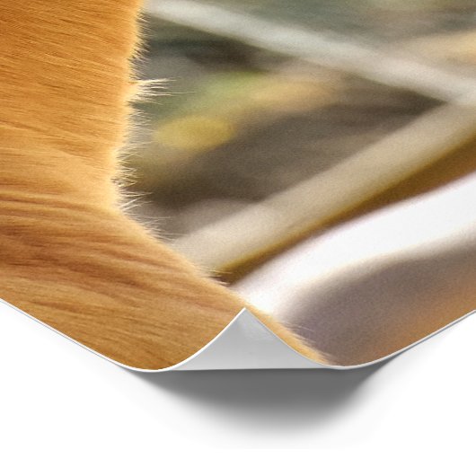 Schöne Pferde Poster (Ecke)