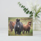 Schöne Pferde Postkarte (Stehend Vorderseite)