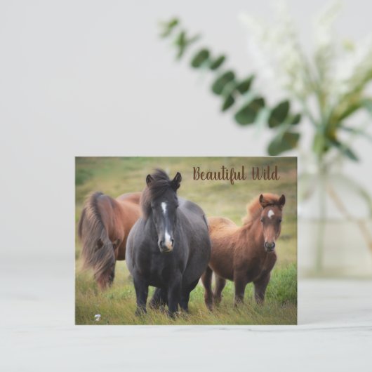 Schöne Pferde Postkarte (Stehend Vorderseite)