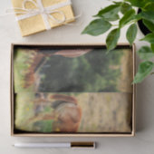 Schöne Pferde Seidenpapier (Geschenk)