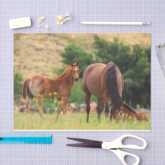 Schöne Pferde Seidenpapier (Handwerk)