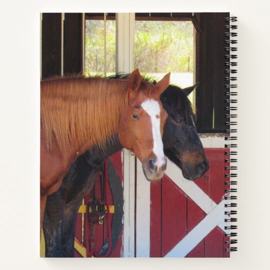 Schöne Pferde - SpiralNotebook Notizblock (Rückseite)
