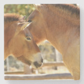 Schöne Pferde Steinuntersetzer (Vorderseite)