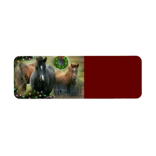 Schöne Pferde und Rustikale Weihnachten im Stall (Vorne)