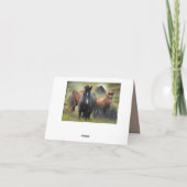 Schöne Pferde und rustikaler Stall Dankeskarte (Rückseite)